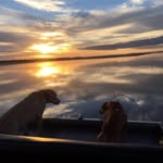 Brian Booker - @brianbooker2683 - Instagram