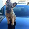 Brianna.Booker - @brianna.booker - TikTok