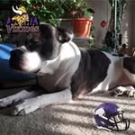 Brian Borders - @muzikmen82 - Instagram