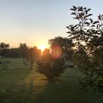 Brian Borders - Facebook