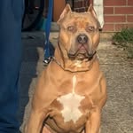 Bryan Borders - @bryan.borders.562 - Instagram