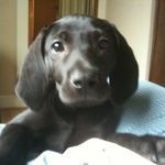 Brian Philip Borsch - @borschbrian - Instagram