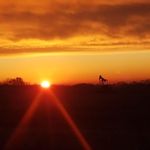 Brian Boswell - @brianboswell53 - Instagram