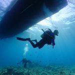 Brian Bouchard  Scuba_Brian - @divebouch - Instagram