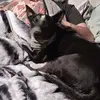 brianbourne966 - @brianbourne966 - TikTok