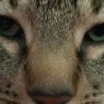 Brian Bowling - @brian.bowling.902 - Instagram