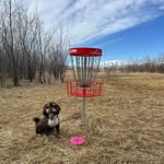 Brian Bowling - @brianb_dg - Instagram