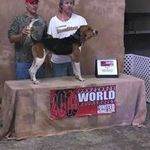 Brian Bowser - @bowser.brian - Instagram