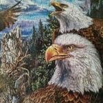 Brian Bowser - @bowser6541 - Instagram