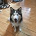 Bryan Bowser - Facebook