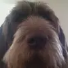 Brian Bratcher645 - @brianbratcher645 - TikTok