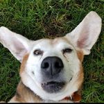 Brian Breen - @brianbreen - Instagram