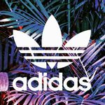 brianbrendel - @brianbrendel7220 - Instagram