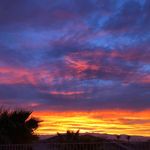 Brian Brill - @brian.brill.58 - Instagram
