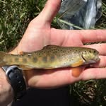 Brian Brinkerhoff - @bbrinkerhoff2035 - Instagram