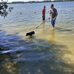 Brian Bronkhorst - @bronkhorstbrian - Instagram