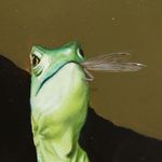 Brian Brown - @brownpainter - Instagram