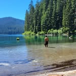 Brian Brown - @bbrown44510 - Instagram