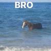 brian bruder - @its_digiorno_not_deliver - TikTok
