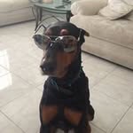 Brian A Bryant - @brianbryant1916 - Instagram