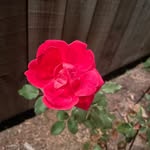 Brian Budzynski - @brian.budzynski.1 - Instagram