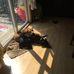 Brian Budzynski - Facebook