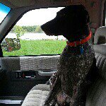 Brian Buehler - @buehls125 - Instagram