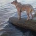 Brian Buffington - Facebook