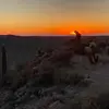 Brian Burch - @brian.burch7 - TikTok