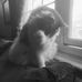 Brian Burch - Facebook