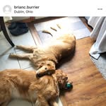 Brian C. Burrier - @brianc.burrier - Instagram