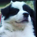 brian byrnes - @brian_byrn3s - Instagram