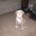 Brian Cable - Facebook