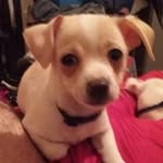 Brandy Caillouette - @brandycaillouette - Instagram