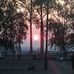 Brian Camarena - Facebook