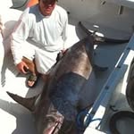 Brian Canfield - @canfield.brian - Instagram