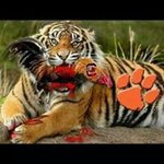 Brian Caraway - @briancaraway - Instagram