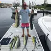 brian cardone - @brian.cardone7 - TikTok