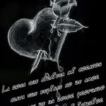 Brian Cardoza - @cardoza5364 - Instagram