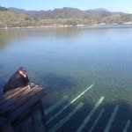 Brian Cargill - @brian.cargill.31 - Instagram
