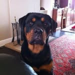 Brian Cargill - @brian_cargill - Instagram