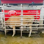 Brian Carleton - @carleton6456 - Instagram