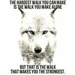 Brian Carleton - @briancarleton390 - Instagram