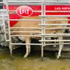 brian carleton - @brian.carleton - TikTok