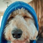 Brian Carmody - @brian.carmody.5 - Instagram