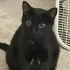 briancarrick00 - @brian.carrick8 - TikTok