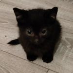 Brian Carty - @brian.carty8 - Instagram