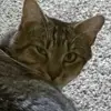 Bryan Casagrande - @bryanc397 - TikTok