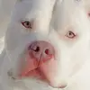 Bryan Casagrande - @user235978308 - TikTok