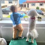 Brian Cassells - @briancassells - Instagram